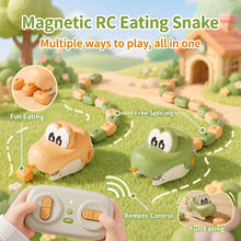 Magnetic Snake Battle RC Cars